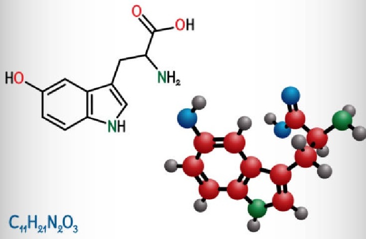 5-HTP ingredient in Yu Sleep formula