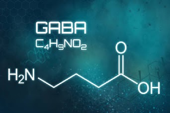 GABA ingredient in Yu Sleep formula